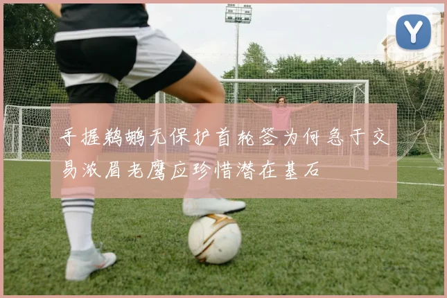 手握鹈鹕无保护首轮签为何急于交易浓眉老鹰应珍惜潜在基石